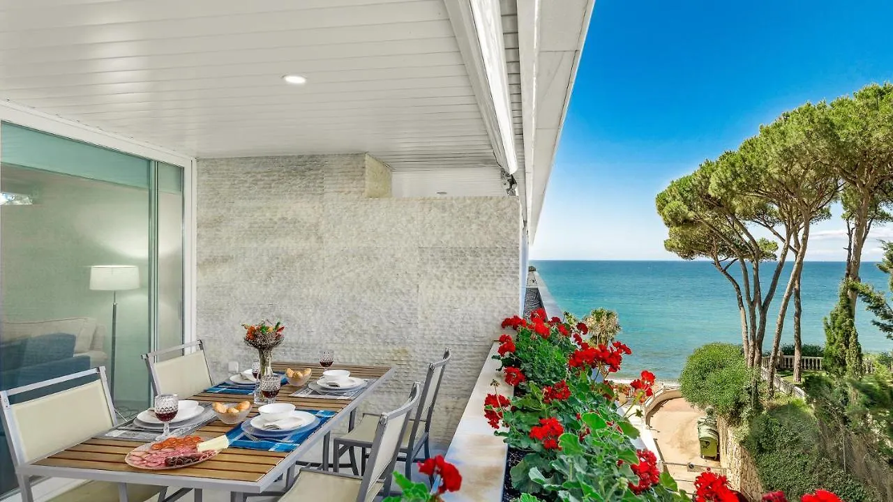 All About Marina Mariola Marbella
